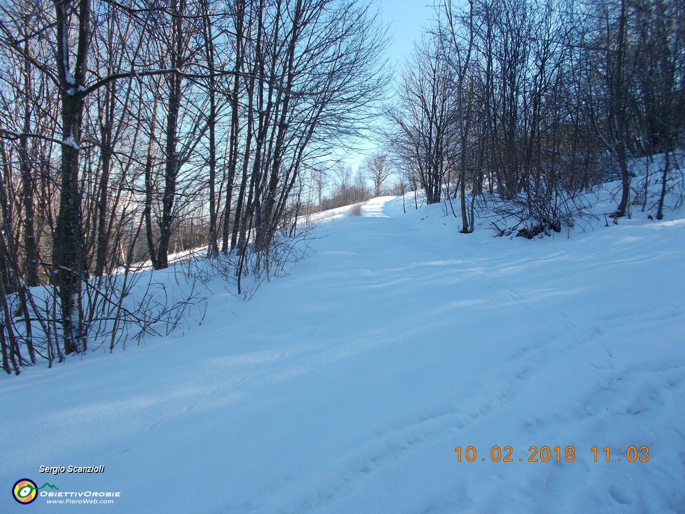 15 UN CANDIDO MANTO DI NEVE.JPG